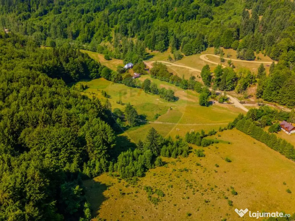 Teren 20000 mp, sat Dalghiu, com Vama Buzaului