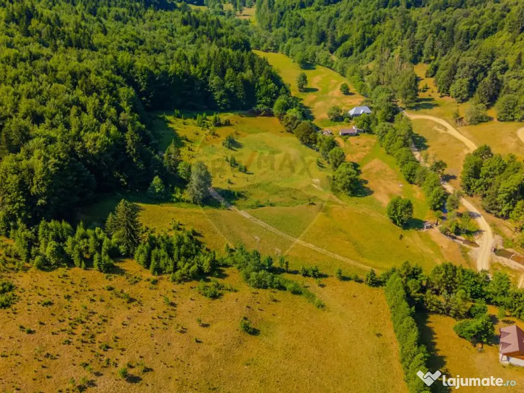 Teren 20000 mp, sat Dalghiu, com Vama Buzaului