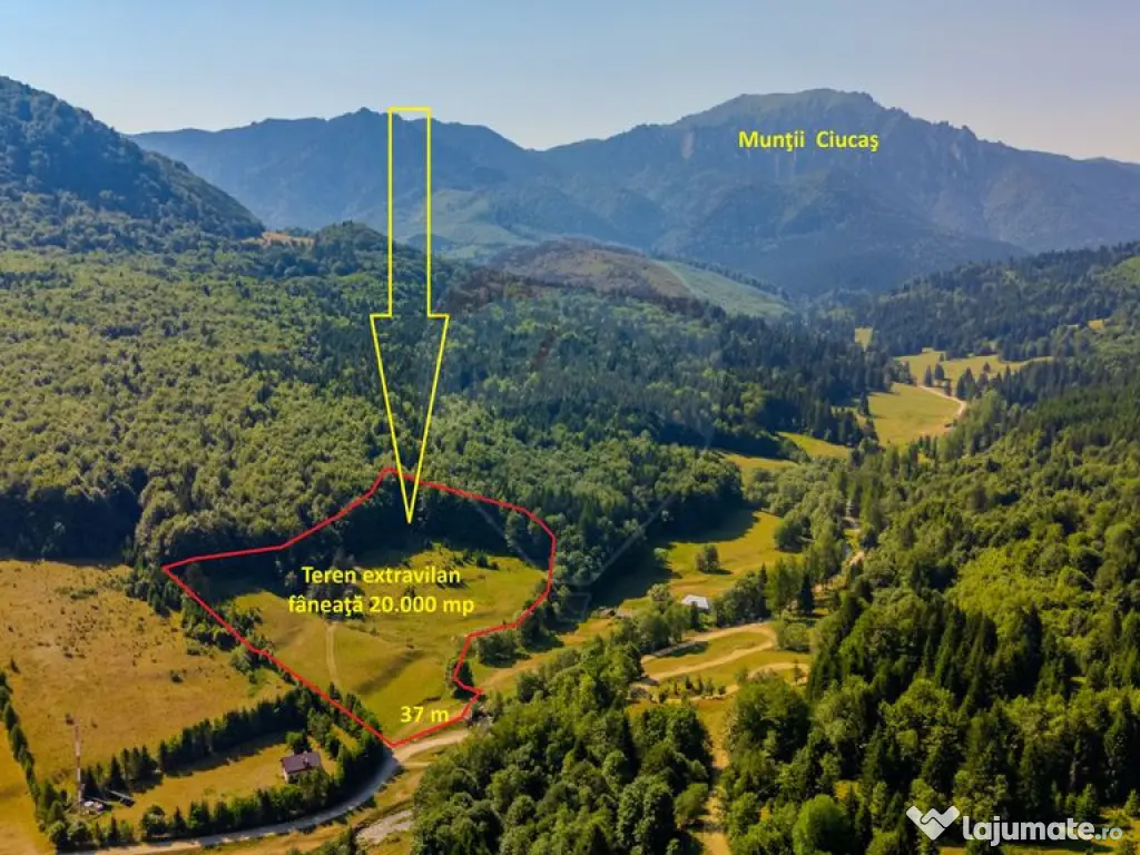 Teren 20000 mp, sat Dalghiu, com Vama Buzaului