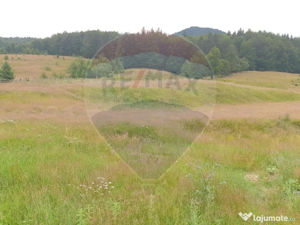 Teren 20000 mp, sat Dalghiu, com Vama Buzaului