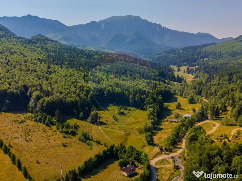 Teren 20000 mp, sat Dalghiu, com Vama Buzaului