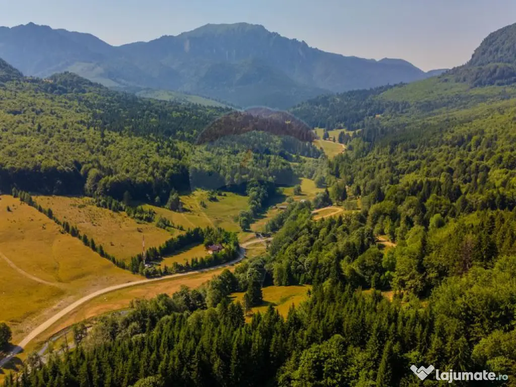 Teren 20000 mp, sat Dalghiu, com Vama Buzaului
