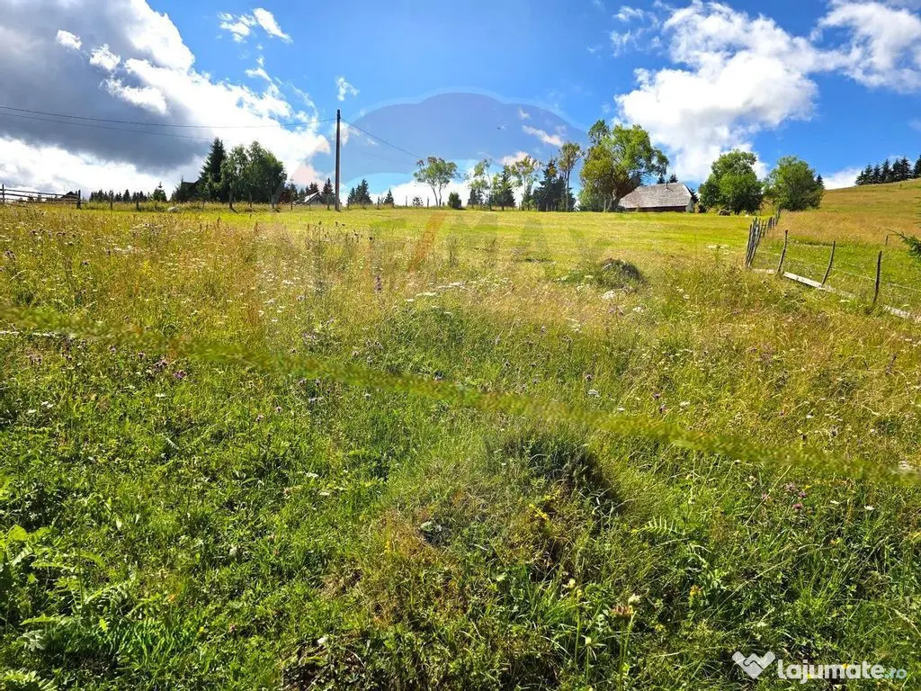 Teren de vis în Fundata 1934mp sau 3868mp, la înălțim... 