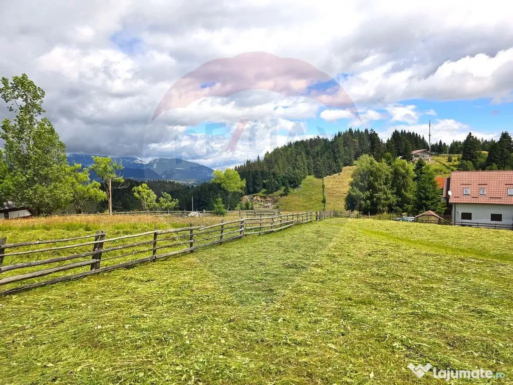 Teren de vis în Fundata 1934mp sau 3868mp, la înălțim... 