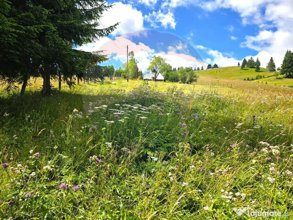 Teren de vis în Fundata 1934mp sau 3868mp, la înălțim... 