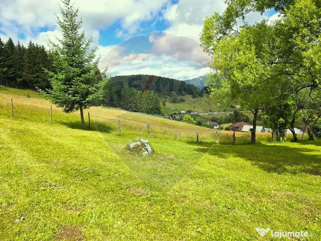 Teren de vis în Fundata 1934mp sau 3868mp, la înălțim... 