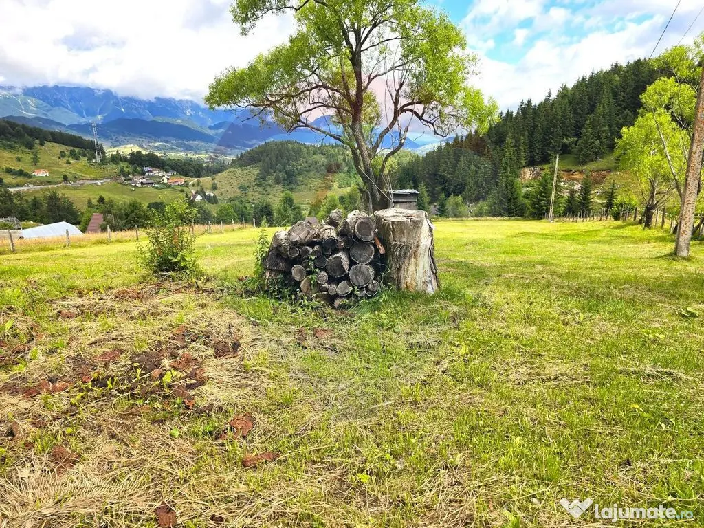 Teren de vis în Fundata 1934mp sau 3868mp, la înălțim... 