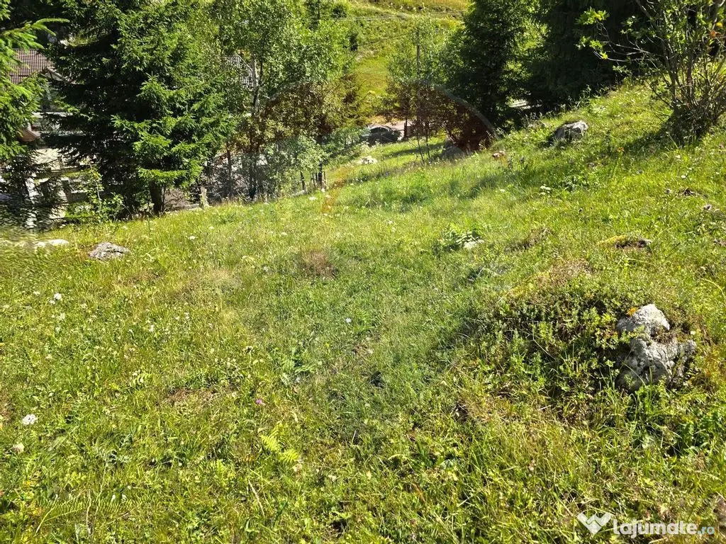 Teren de vis în Fundata 1934mp sau 3868mp, la înălțim... 