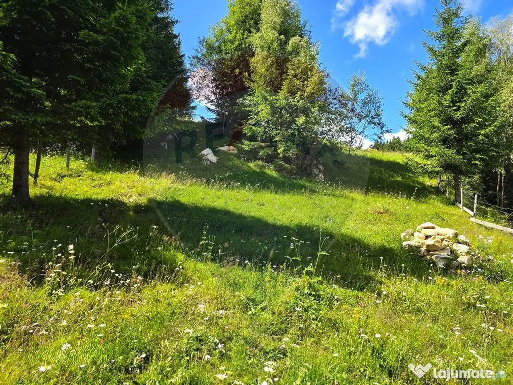 Teren de vis în Fundata 1934mp sau 3868mp, la înălțim... 