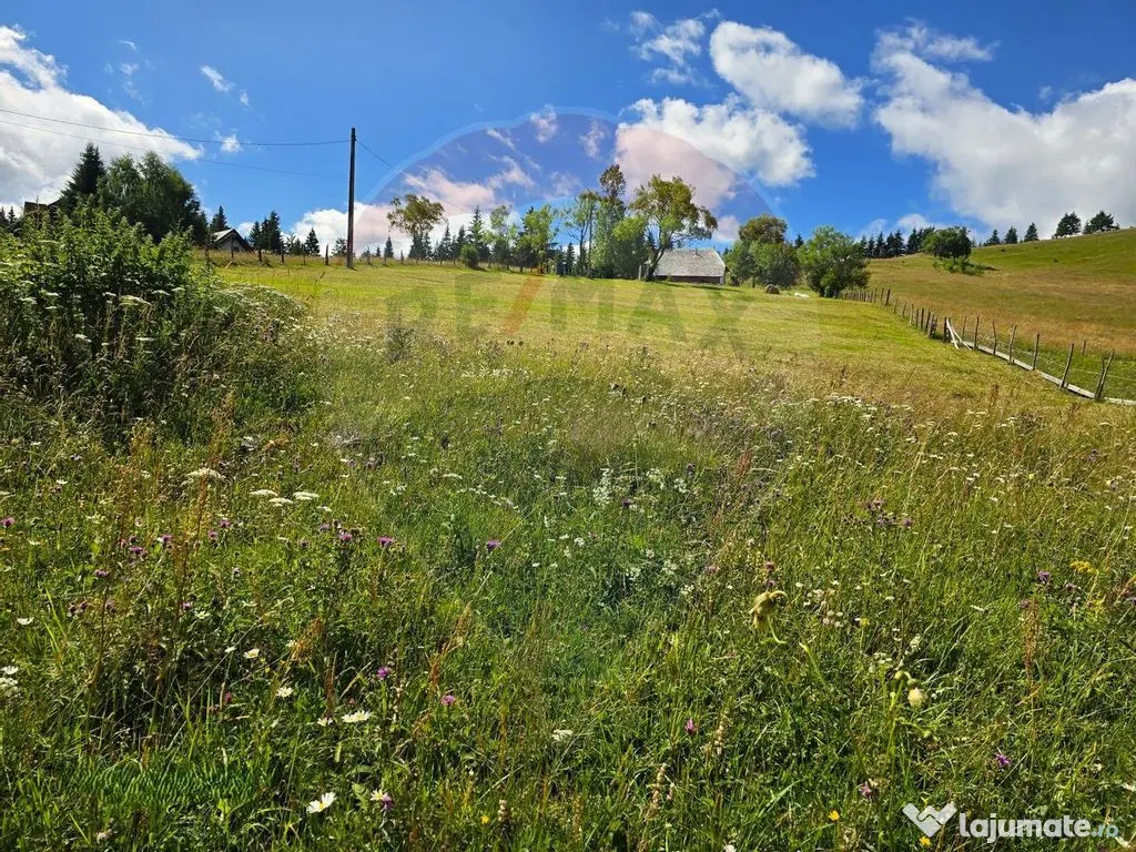 Teren de vis în Fundata 1934mp sau 3868mp, la înălțim... 