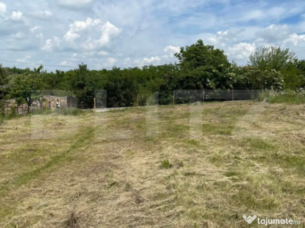 Teren de vanzare - Jucu de sus