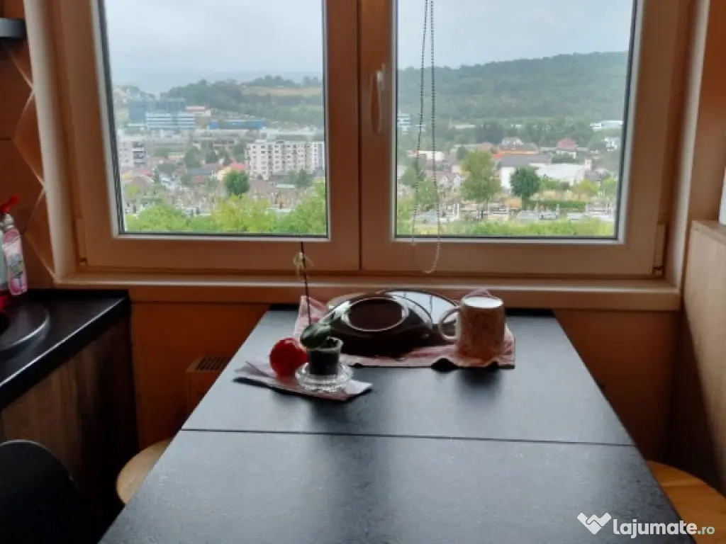 Ap.1 cam in Cluj-Napoca-str Caprioarei