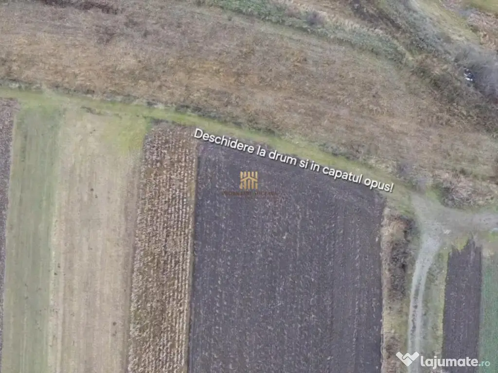 Teren Intravilan 14066 mp 1,4 hectare Suceava Mihoveni 