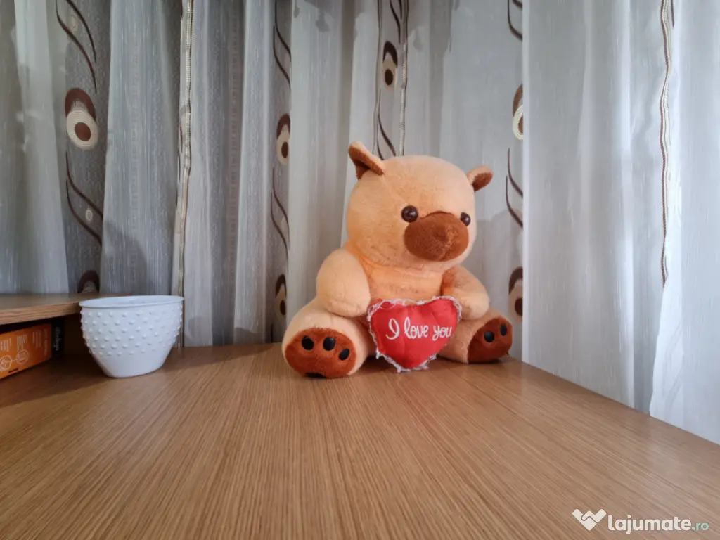 Arena Mall- 22 Decembrie- 2 camere decomandate- prima închi 