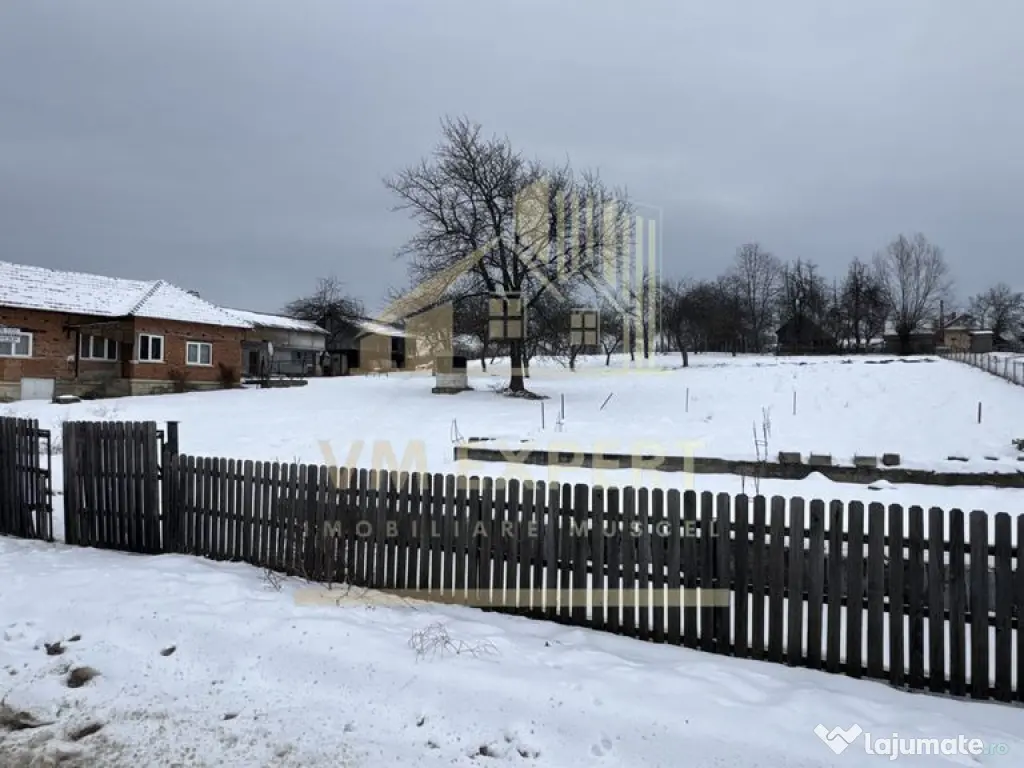 CASĂ 4 CAMERE TEREN 3038 MP ALBEȘTII DE MUSCEL 