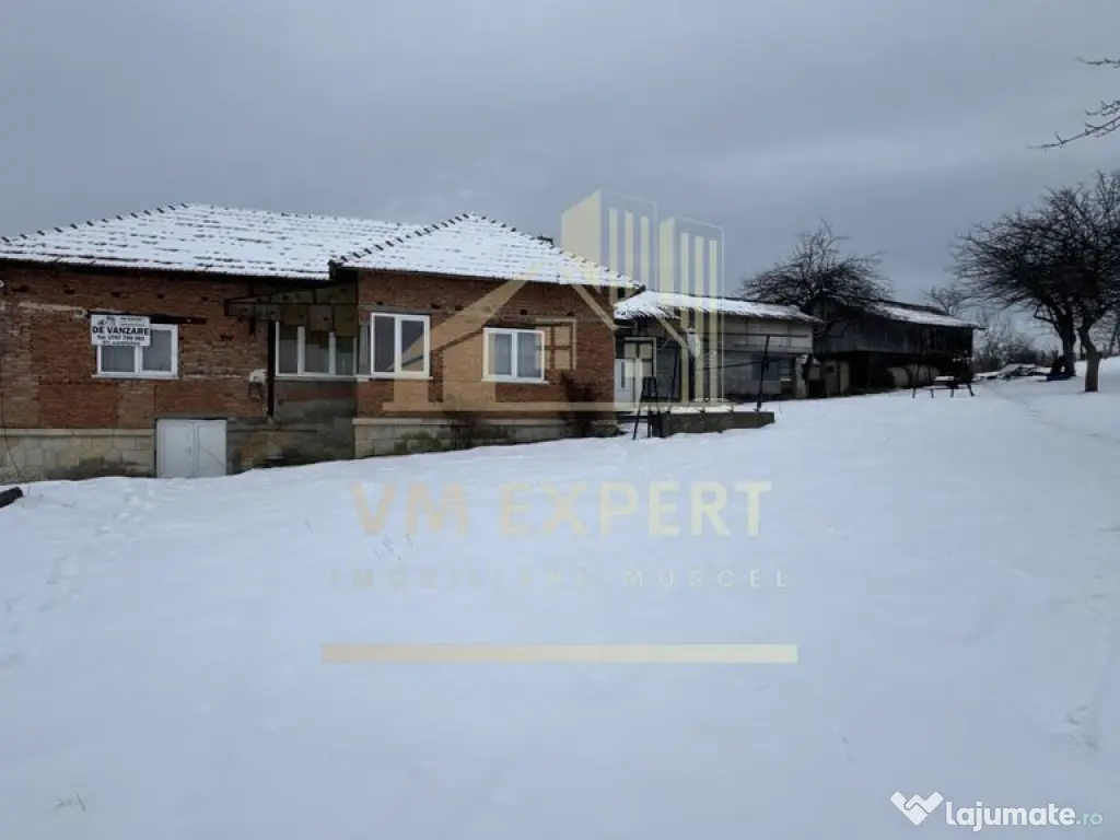 CASĂ 4 CAMERE TEREN 3038 MP ALBEȘTII DE MUSCEL 