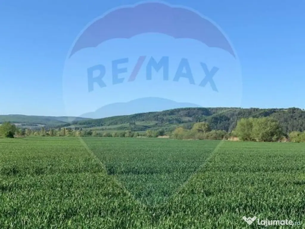 PUZ aprobat | Complex Agroturistic, Unități de Cazare, ...