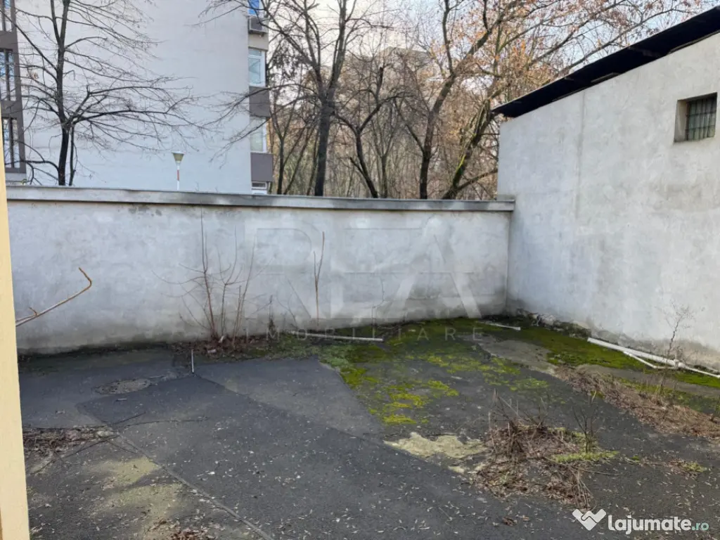 Spatiu comercial Bdul Timisoara 250mp 