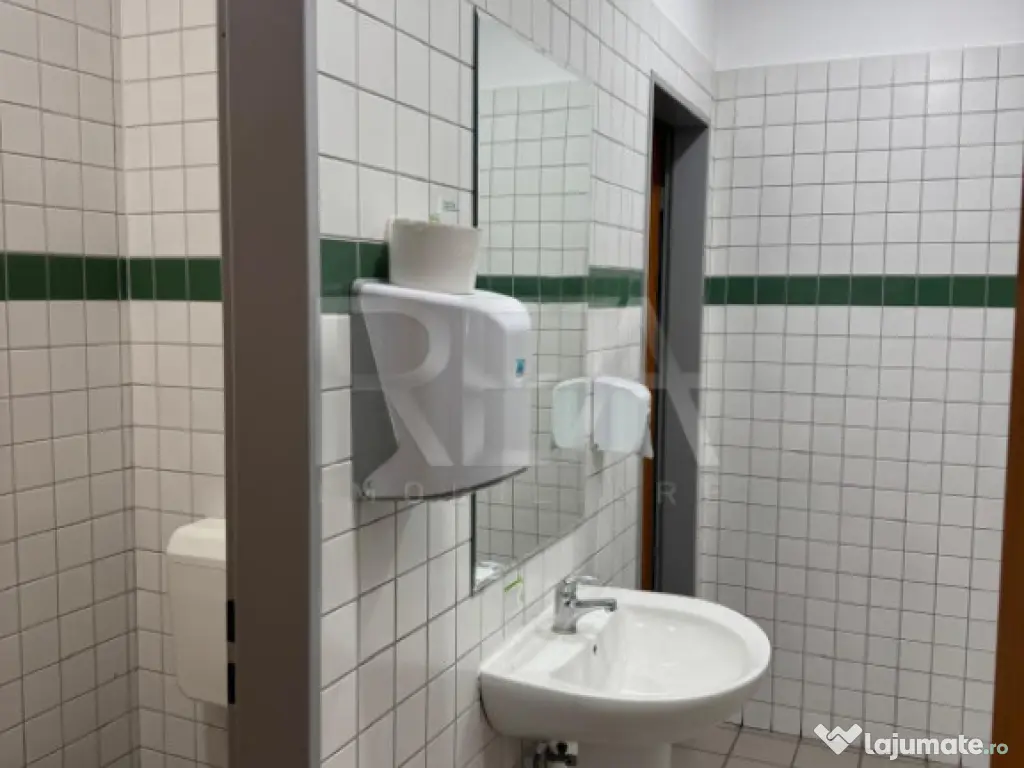 Spatiu comercial Bdul Timisoara 250mp 