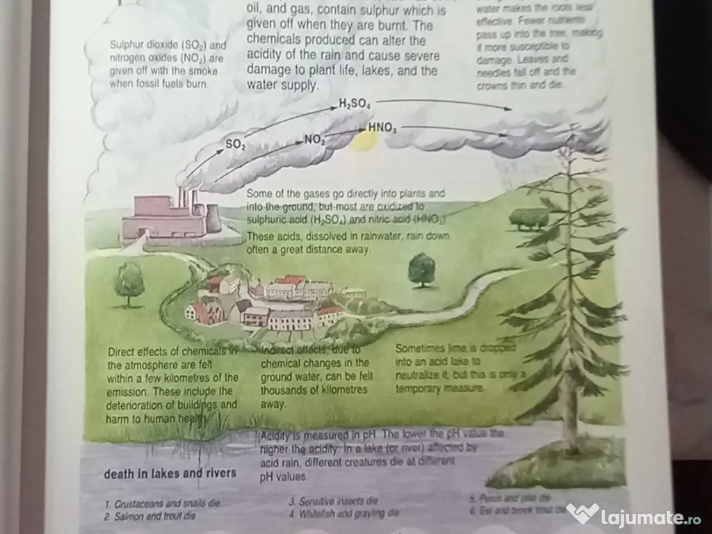 Enciclopedia concisă Hutchinson, 1989, 1026 pagini + BONUS 