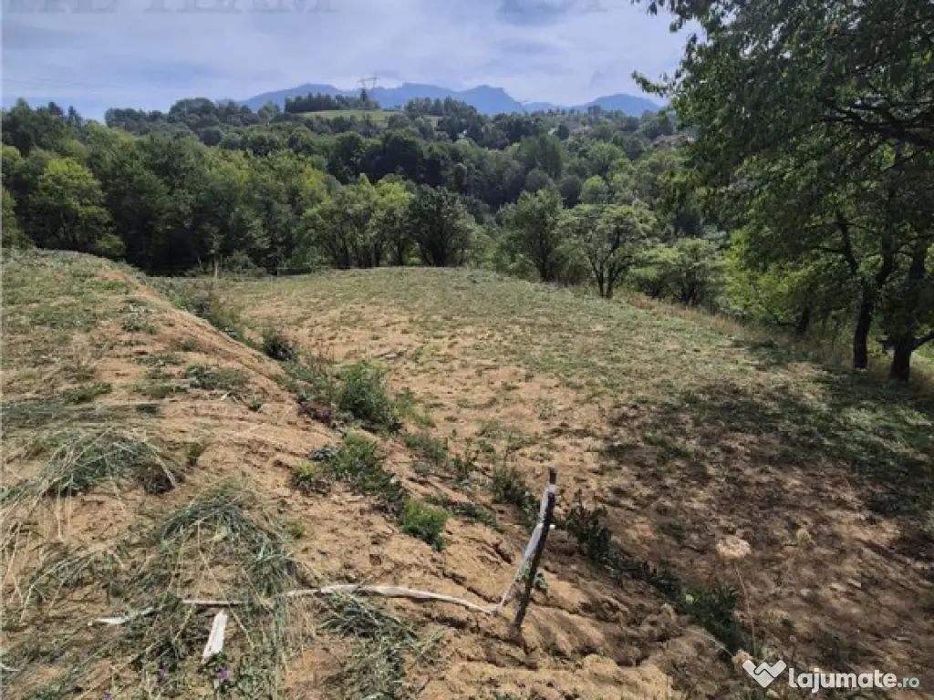 Teren intravilan pentru investitie turistica, 4000 mp, langa 