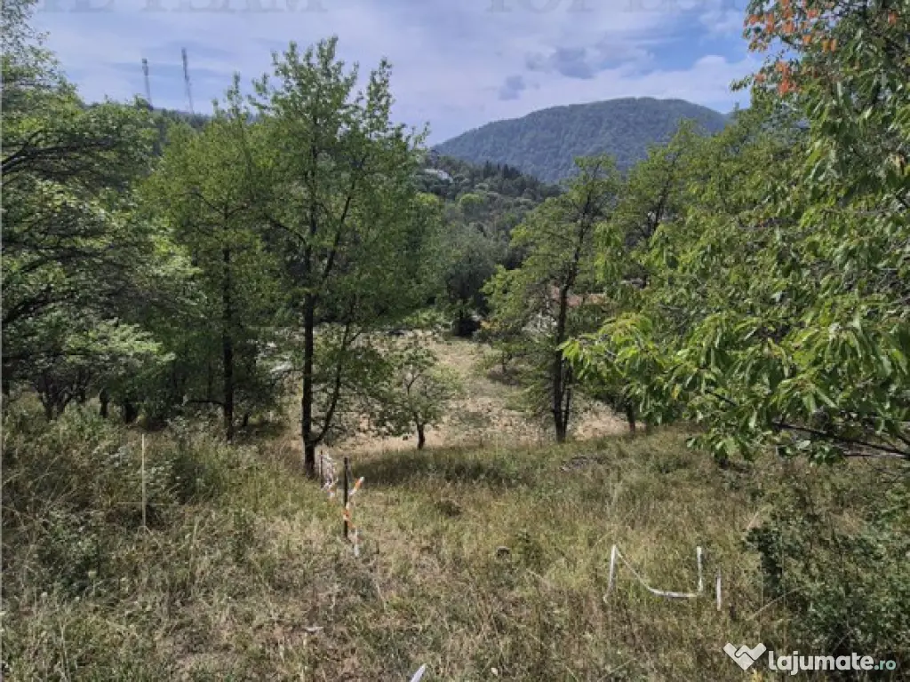 Teren intravilan pentru investitie turistica, 4000 mp, langa 