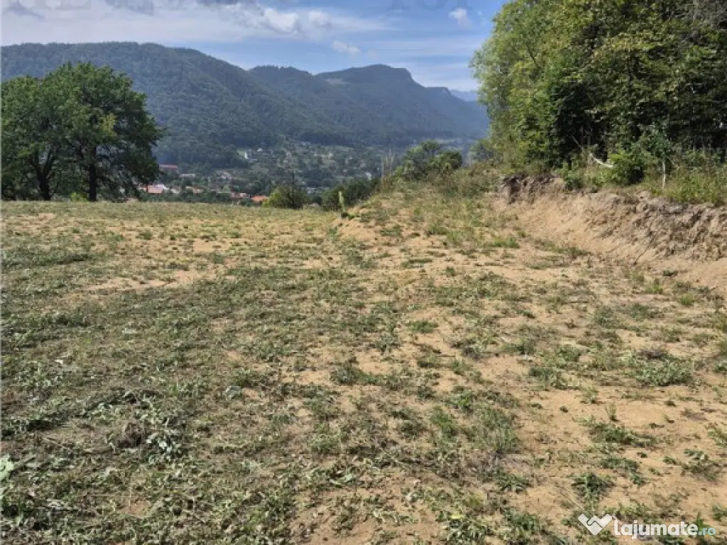 Teren intravilan pentru investitie turistica, 4000 mp, langa 