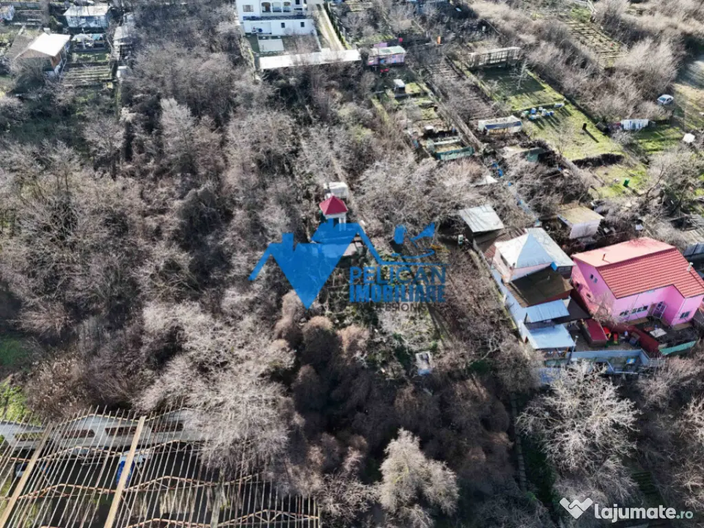 Teren intravilan BIDIDIA, zona deosebita, 550MP 