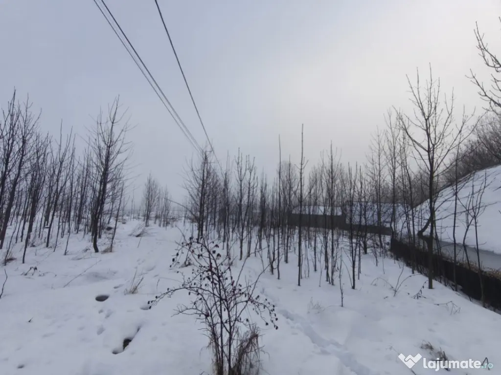 Teren intravilan , 5000mp, zona Negostina, Siret