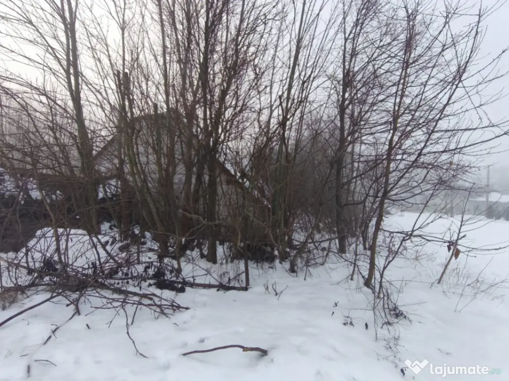 Teren intravilan , 5000mp, zona Negostina, Siret