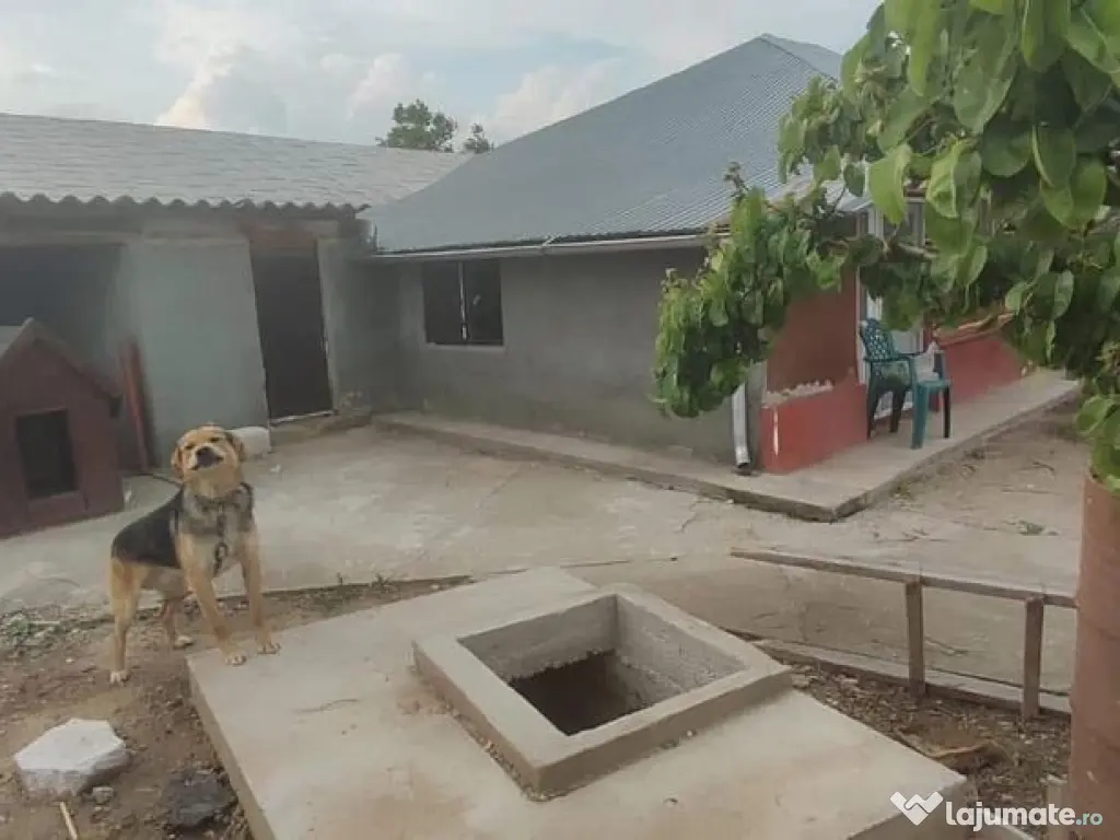 Casa 5 camere cu livada 2200 mp- Varasti 