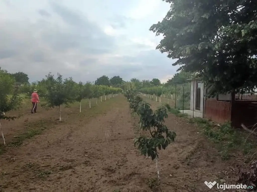 Casa 5 camere cu livada 2200 mp- Varasti 