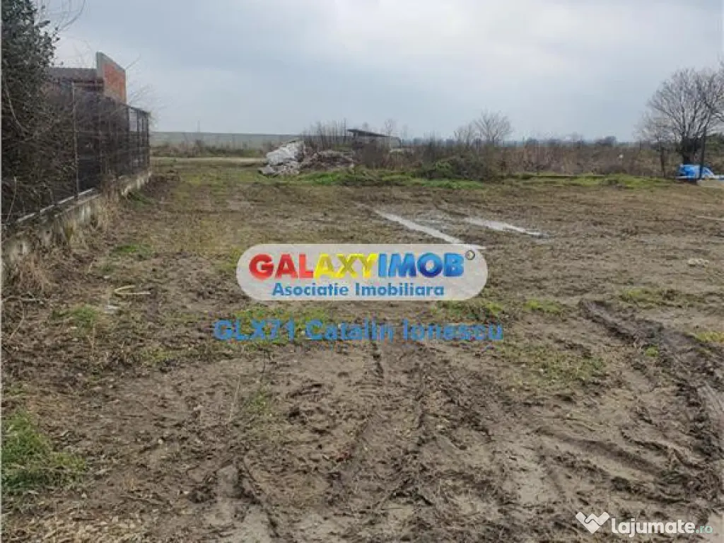 Teren intravilan Domnesti Teghes 