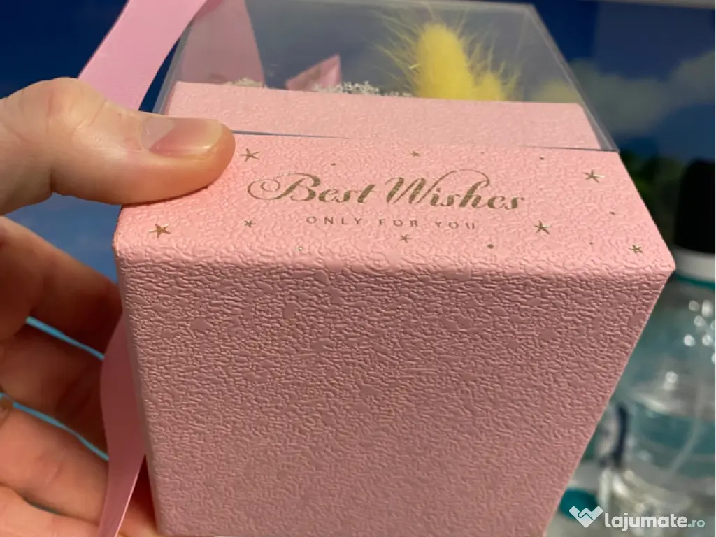 Cutie cadou „Best Wishes” cu trandafir de săpun si lichen 