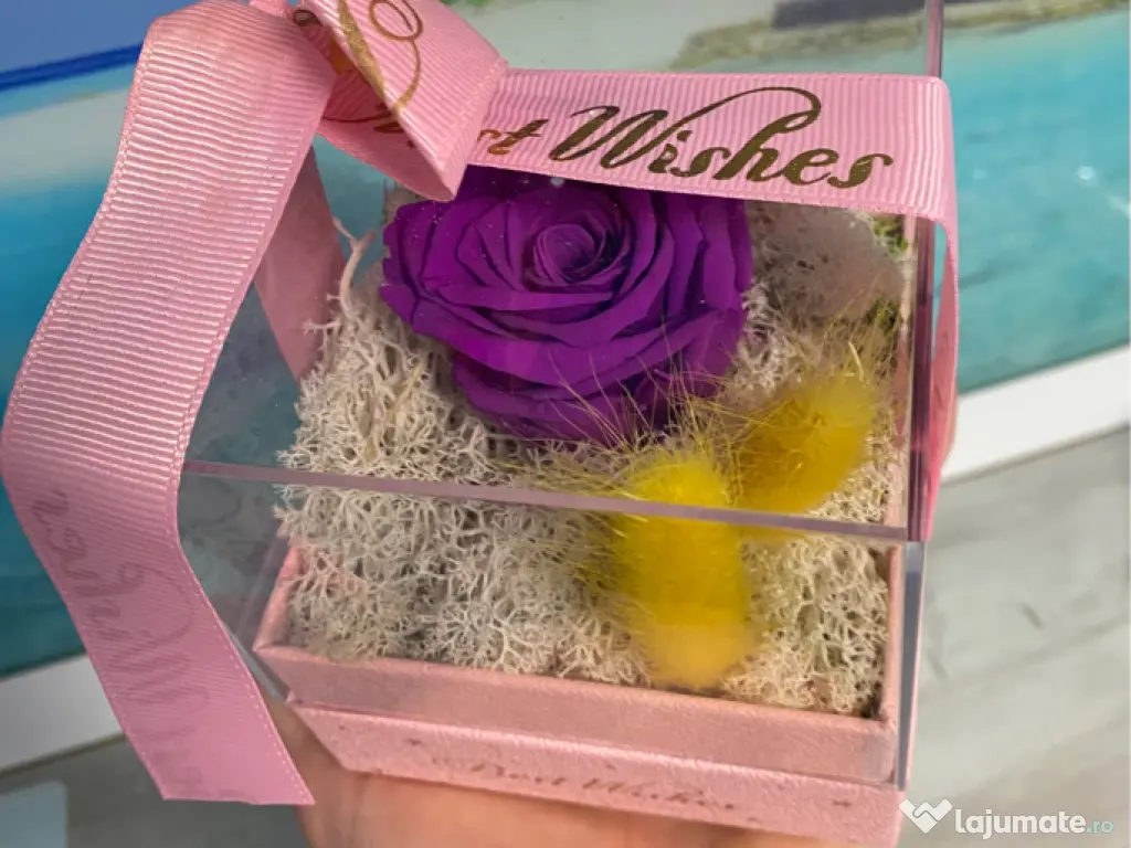 Cutie cadou „Best Wishes” cu trandafir de săpun si lichen 