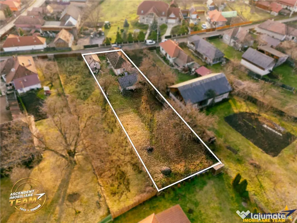 FILM! Gospodarie cu atmosfera traditionala,1.032 mp de verde 