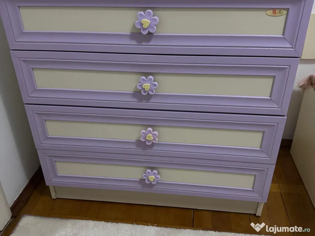 Mobilă pentru tineret 