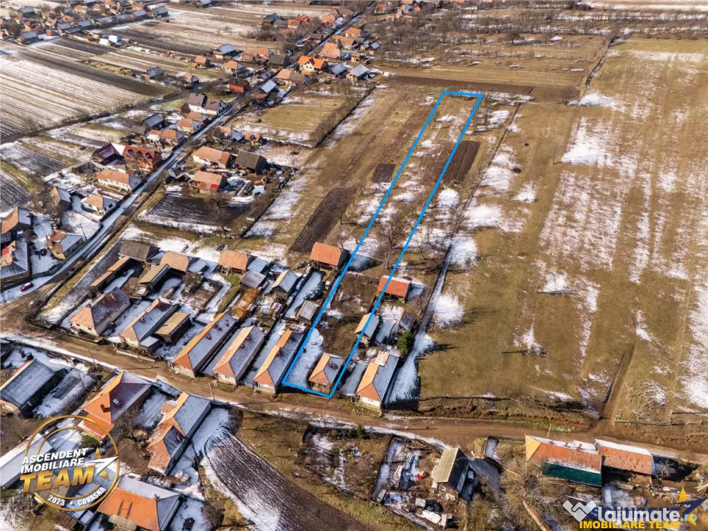 Film! Casa din lemn,cu doua camere, pe domeniu de 2.819 mp,