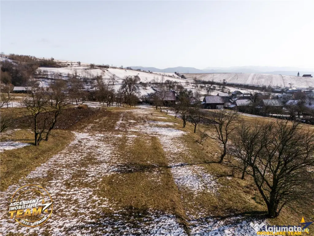 Film! Casa din lemn,cu doua camere, pe domeniu de 2.819 mp,