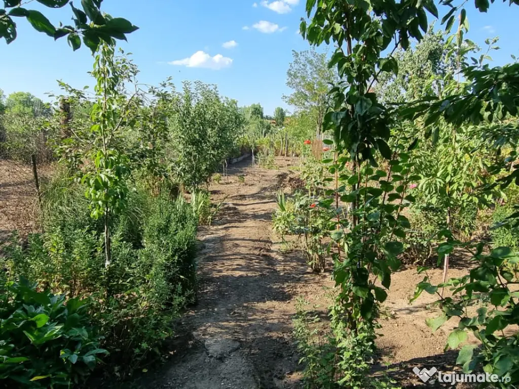 Casa de vanzare - Caracal - jud. Olt