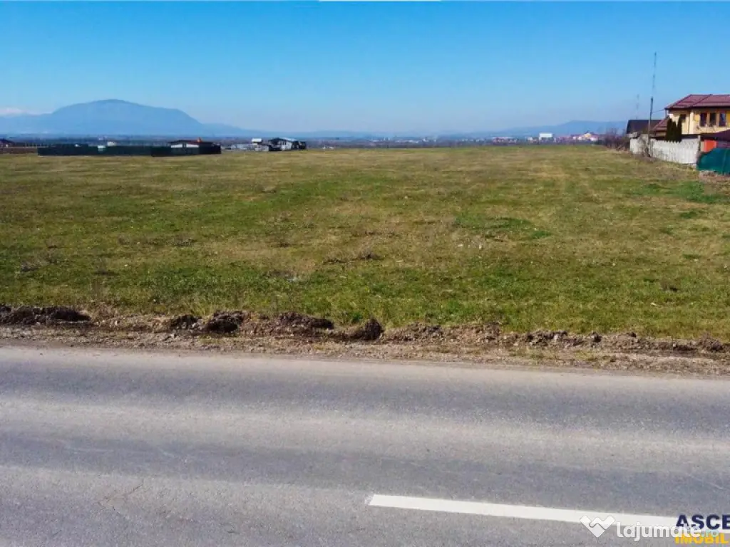 FILM! Domeniu urban, 18.200mp, cu planuri validate, Bod, Bra