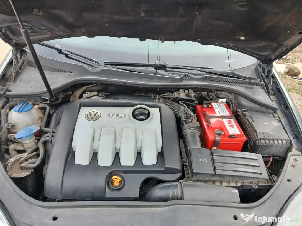 Volkswagen Jetta, motor: 1.9 TDI an: 2009, Euro: 4 