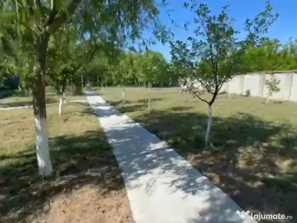 Casa deosebita S+P+E, 440 mp utili, 5000 mp teren, Malu Mare 