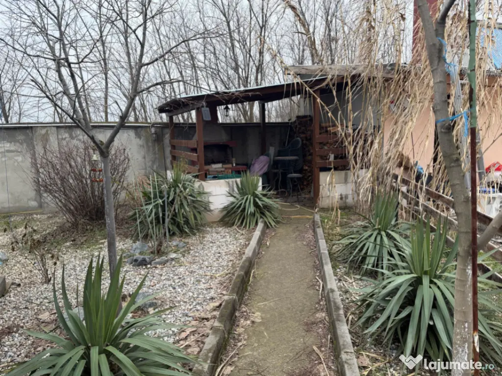 Casa deosebita S+P+E, 440 mp utili, 5000 mp teren, Malu Mare 