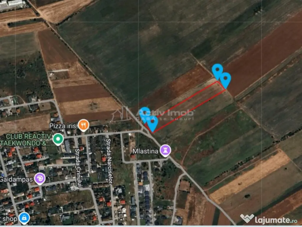 Teren intravilan, 12000 mp, Ciorogarla, jud. Ilfov 