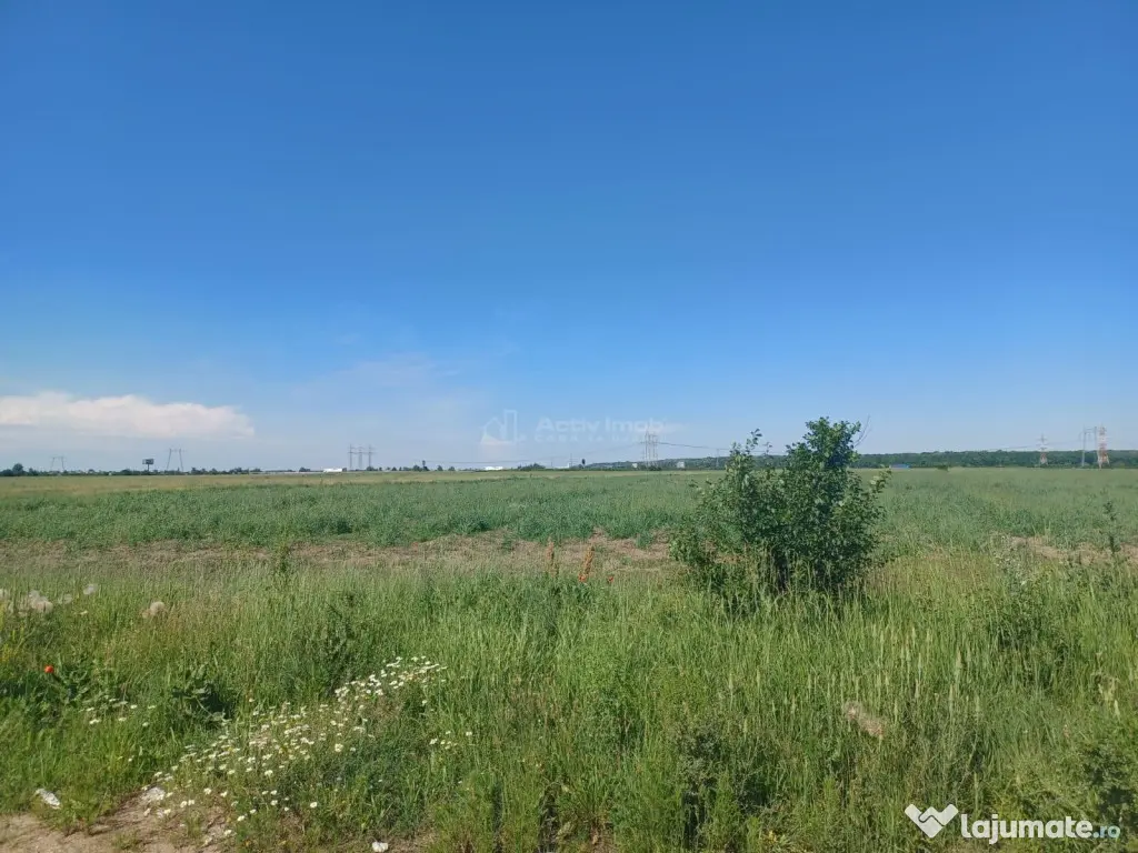 Teren intravilan, 12000 mp, Ciorogarla, jud. Ilfov 