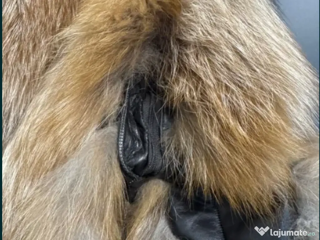 Haină de blana de vulpe canadiană 