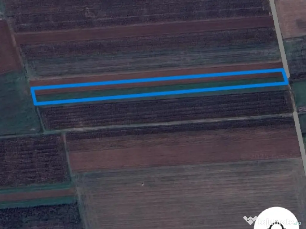 Teren extravilan de vânzare, 4500 mp, Tarlungeni, Izvor