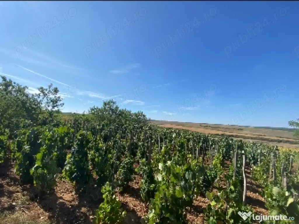 Casă individuală Săcășeni