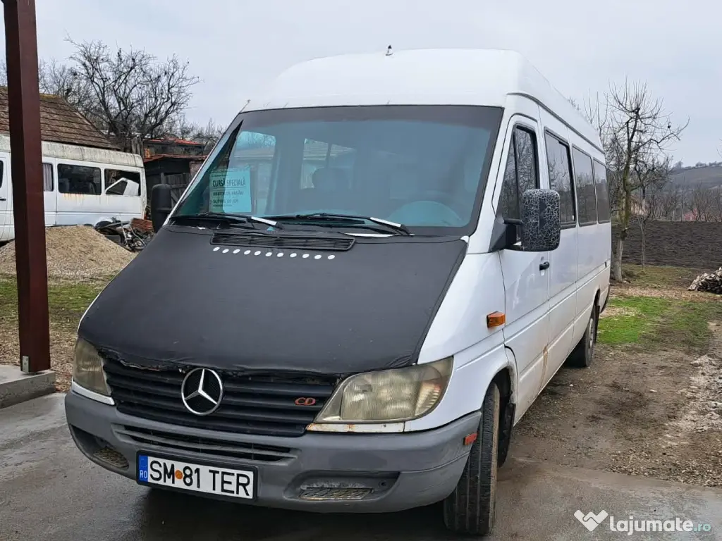 Microbuz Mercedes-Benz 313CDI